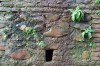 Alhambra_feb0916